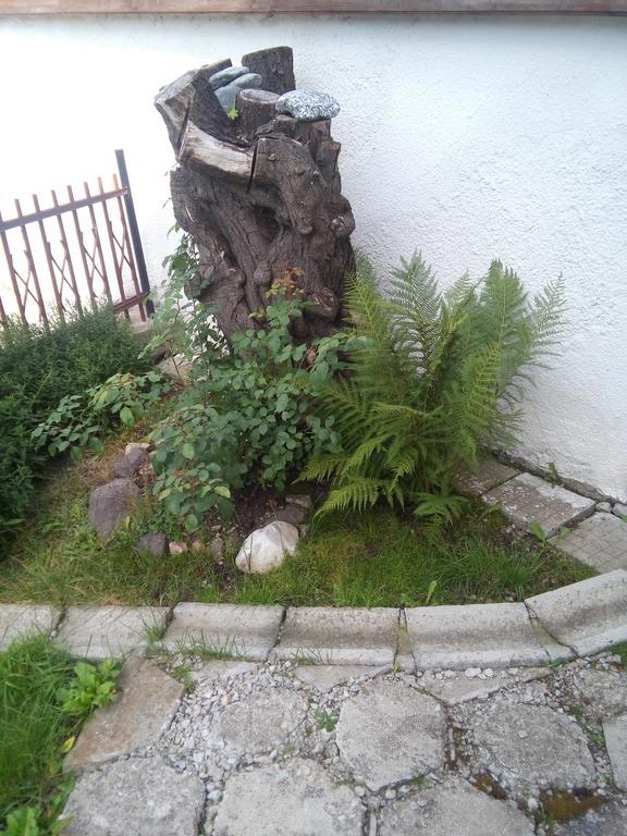 Guest House Ahp Mala Tsŭrkva Esterno foto