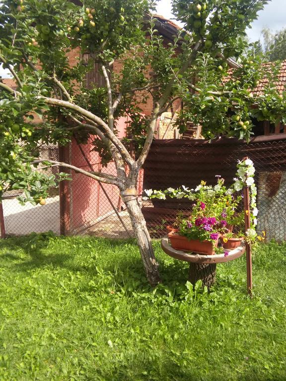 Guest House Ahp Mala Tsŭrkva Esterno foto