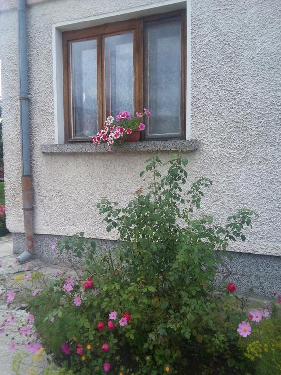 Guest House Ahp Mala Tsŭrkva Camera foto